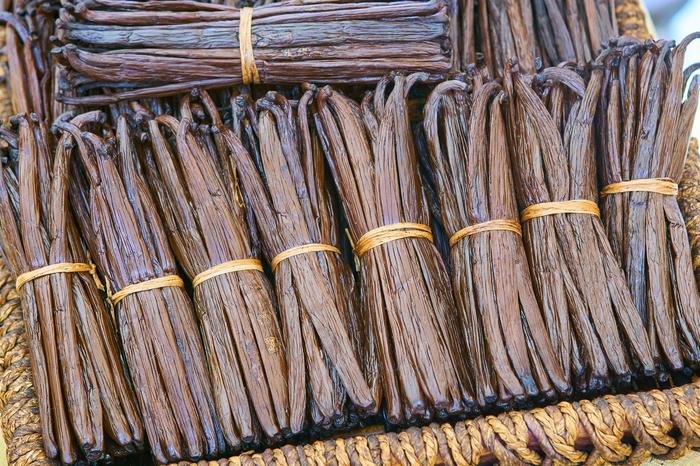 Freshly harvested and bundled Indonesian vanilla beans, highlighting their rich aroma and high-quality texture
